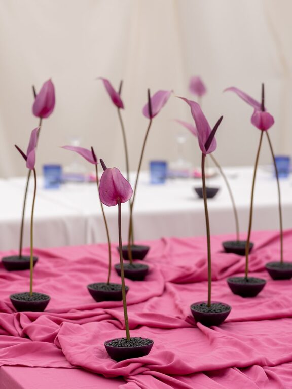 premium event production Morocco