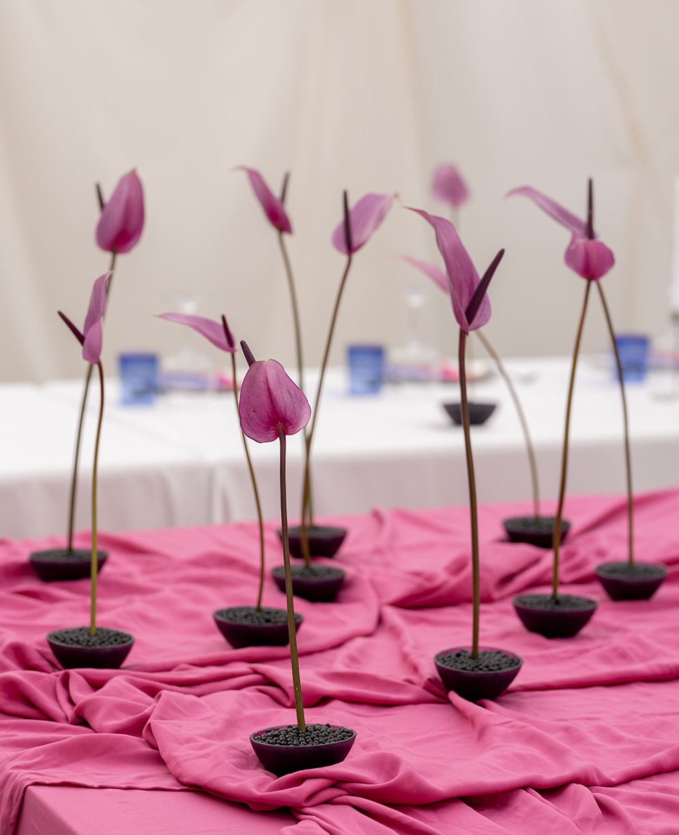 premium event production Morocco